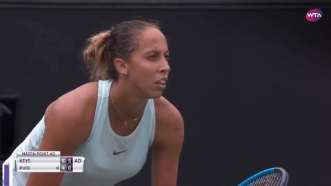 沃基雄鹿 沃基雄鹿